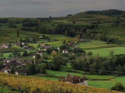 Programa agrario es importante para Macron
